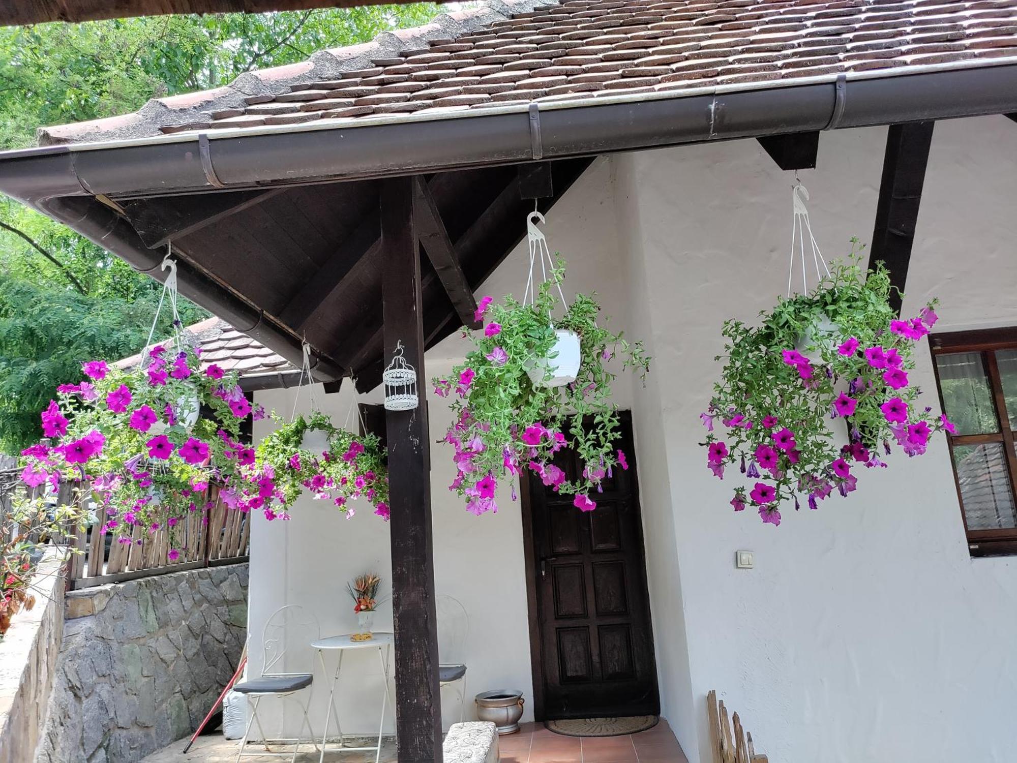 Konak Lecic Trsic Exterior photo