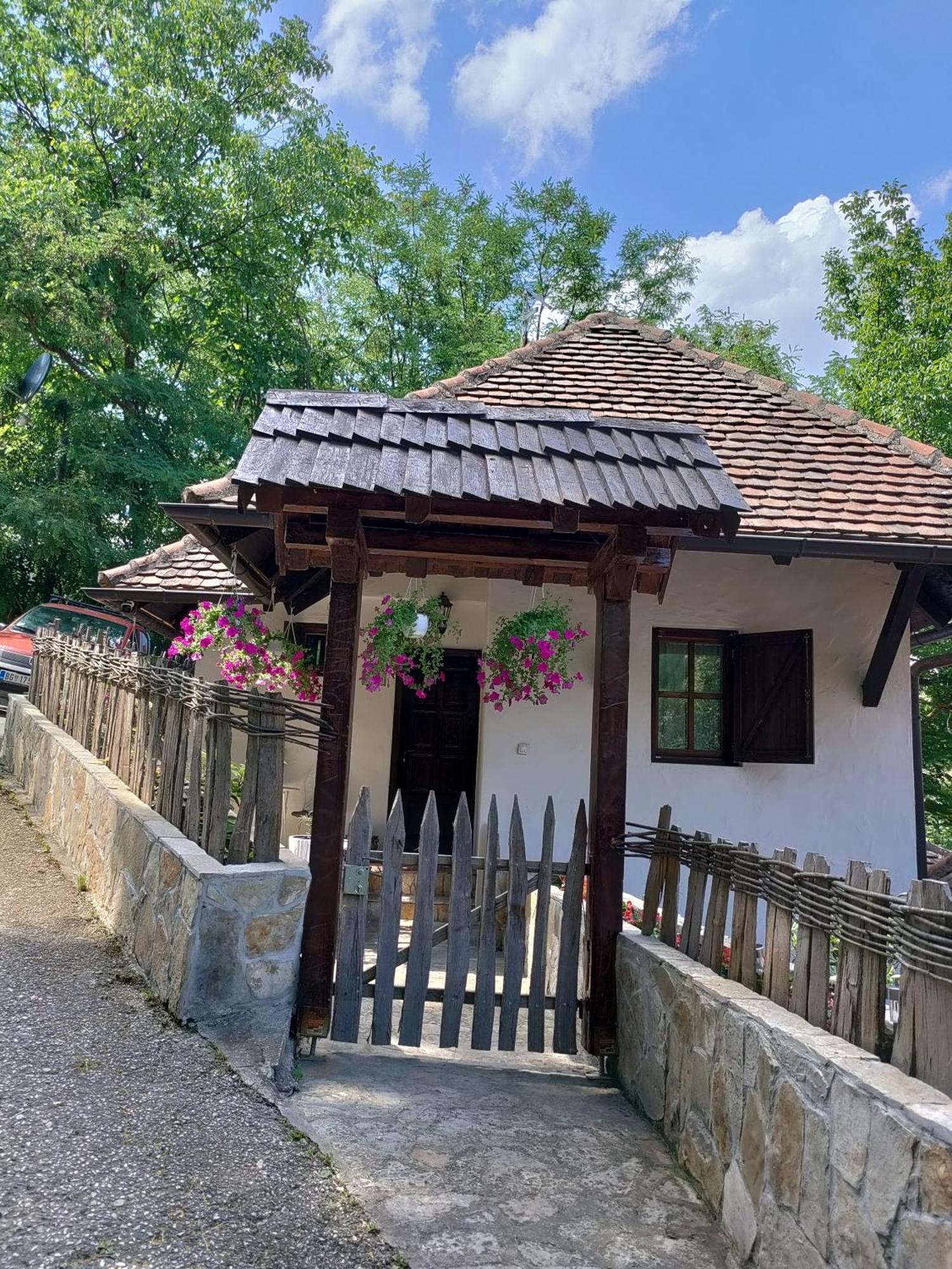 Konak Lecic Trsic Exterior photo