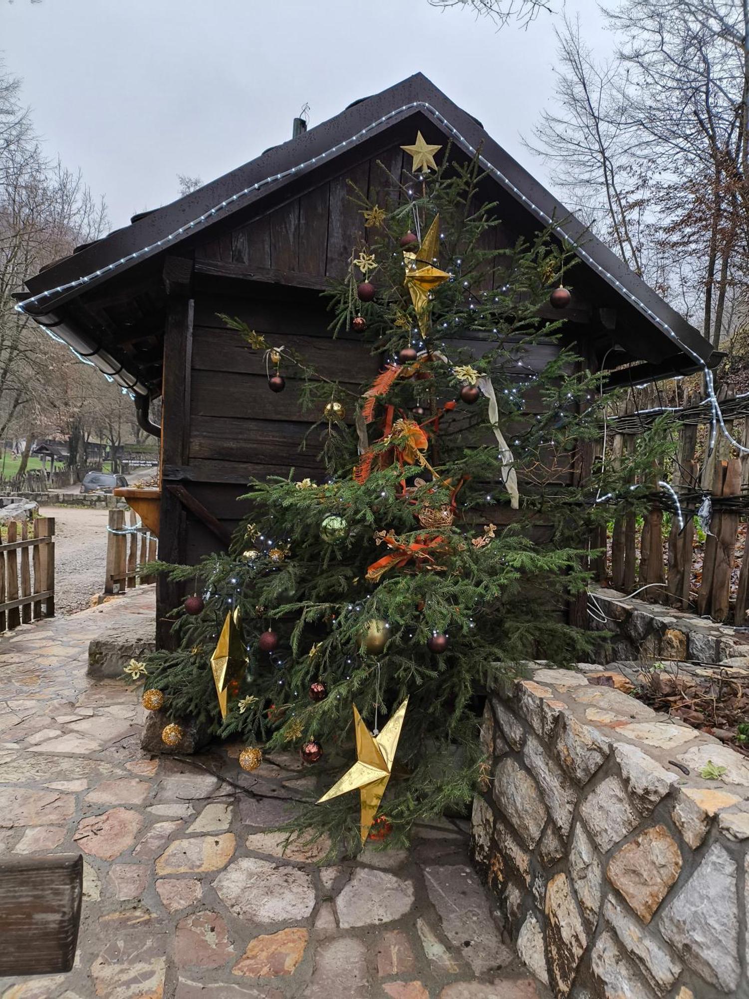 Konak Lecic Trsic Exterior photo