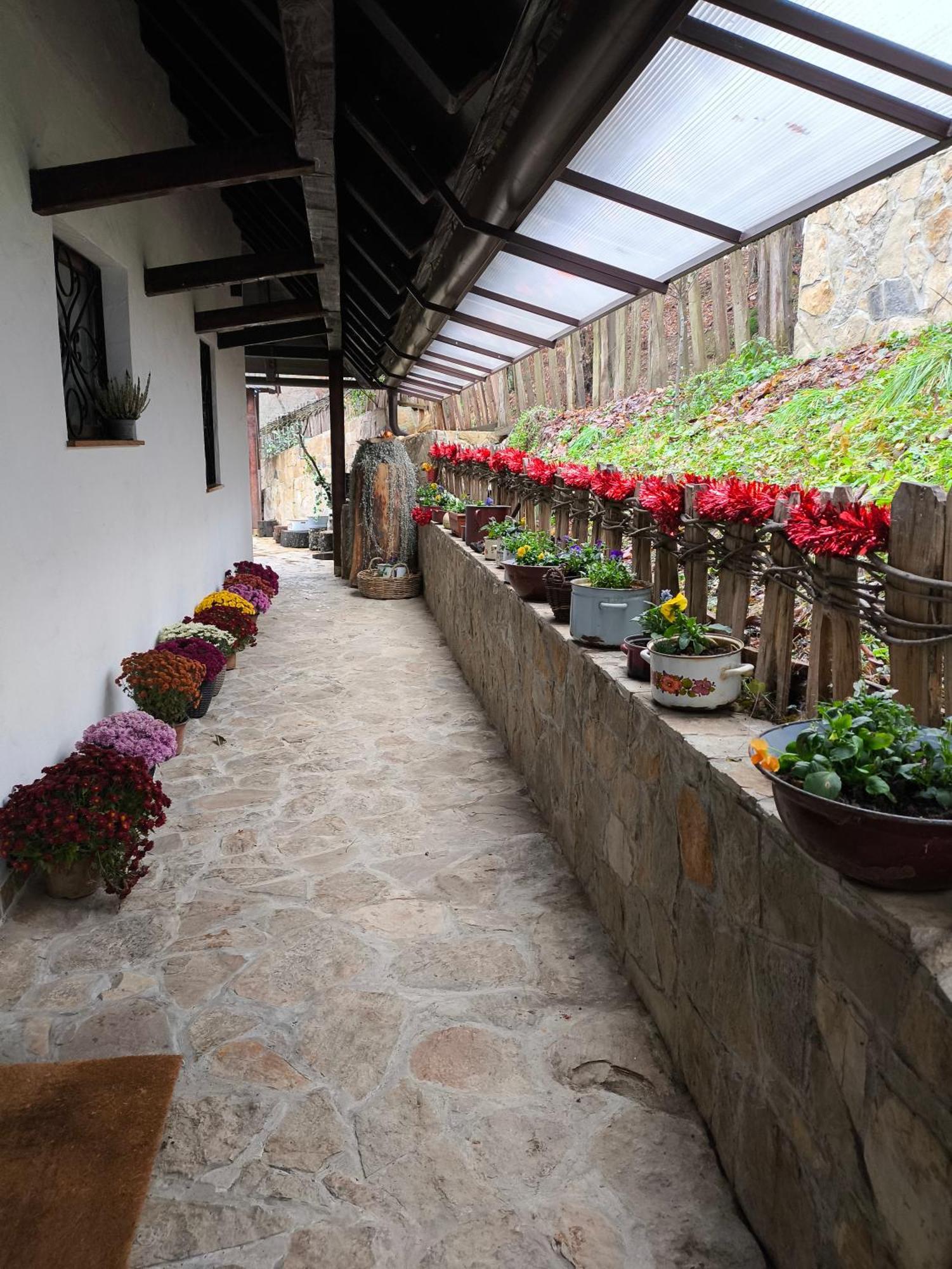 Konak Lecic Trsic Exterior photo